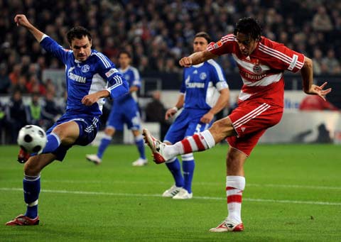 的特点和危 的特点和危